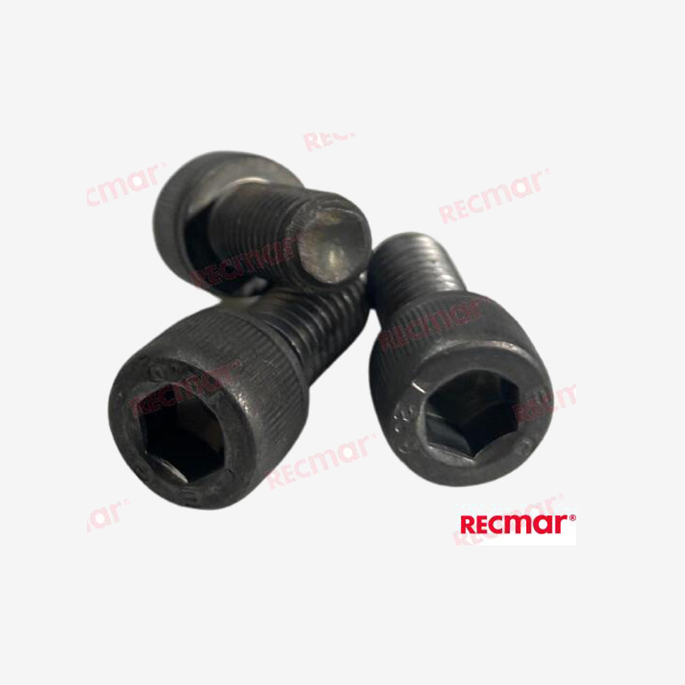 Bolt Kit REC43T02 for Flywheel Puller REC91-895343T02 Recmar