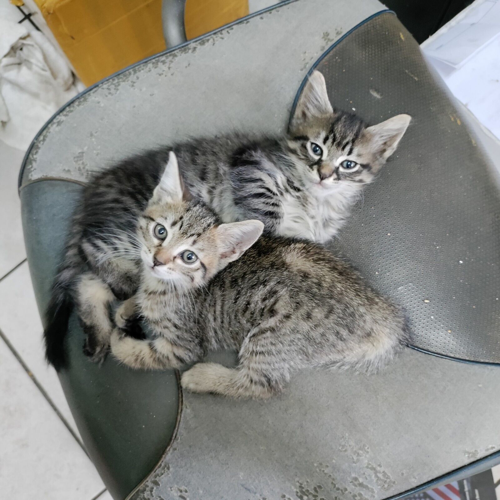 707728-5004S , OEM # 23529009,GARRETT / HONEYWELL, DETROIT 14L, SERIES 60 MARINE