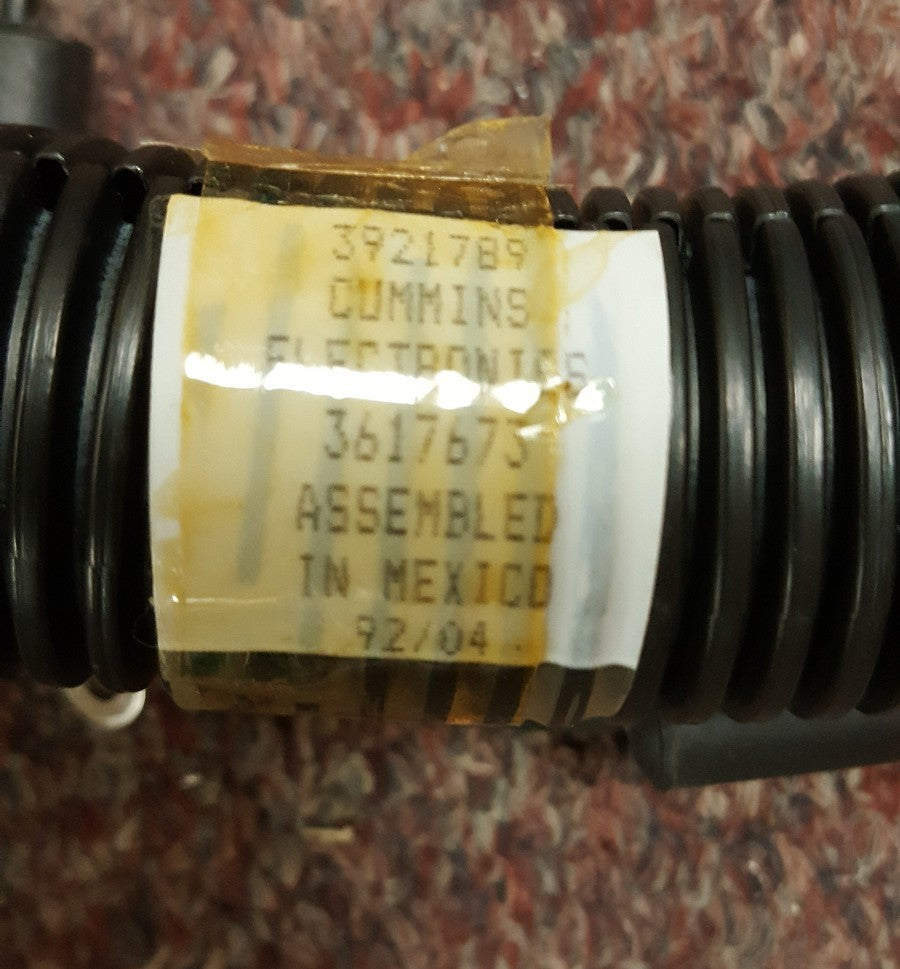 45342402