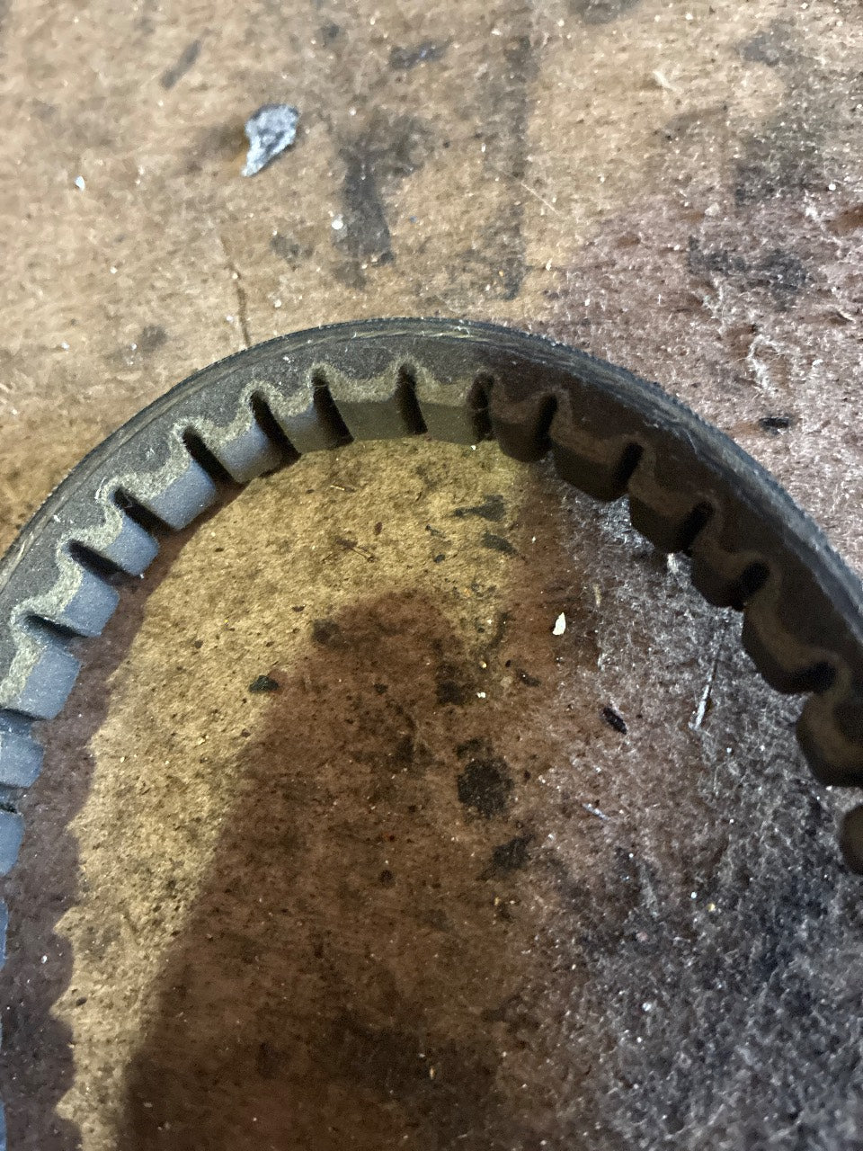 NAPA 25-9480 Premium XL Cogged V-Belt - New