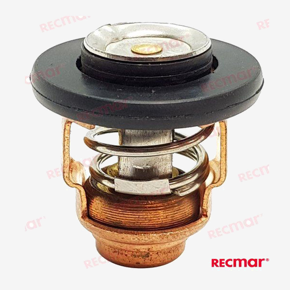 Recmar Thermostat REC6AH-12411-00 for Wahoo 15/20 (60ºC)