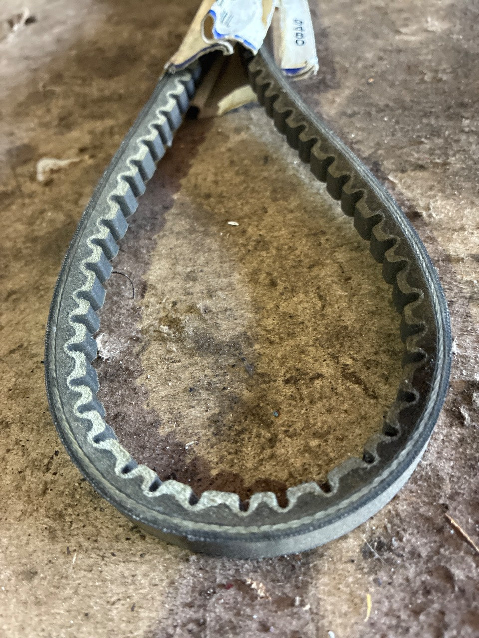 NAPA 25-9480 Premium XL Cogged V-Belt - New
