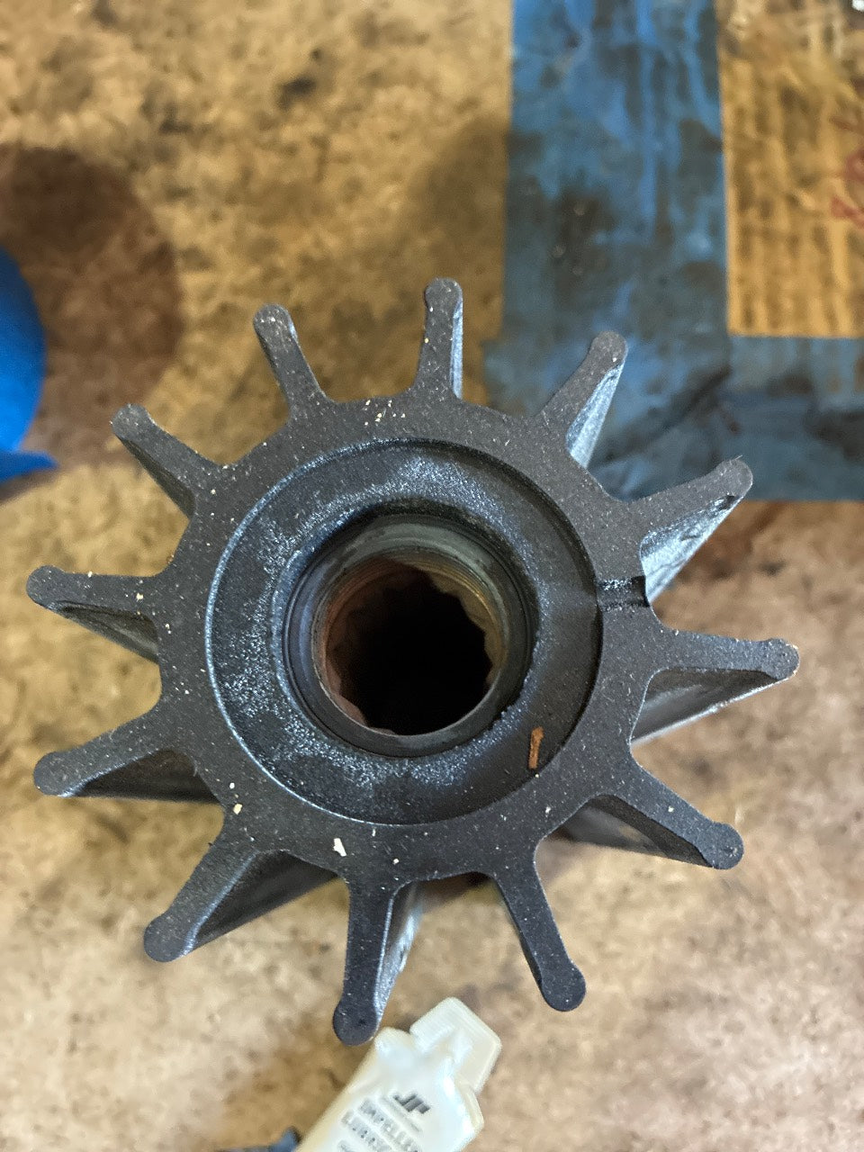 Johnson 09-820B 12-Blade Flexible Impeller for Marine Raw Water Pump - New