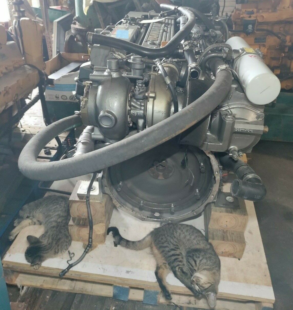 YANMAR DIESEL MARINE ENGINE 6LY2A-STP 440 HP. BOBTAILS USED 2500 HOURS