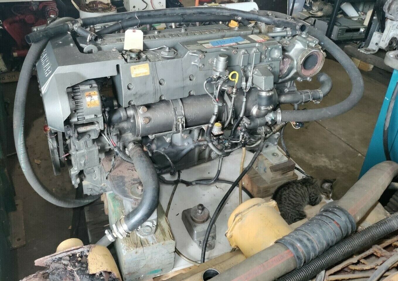 YANMAR DIESEL MARINE ENGINE 6LY2A-STP 440 HP. BOBTAILS USED 2500 HOURS